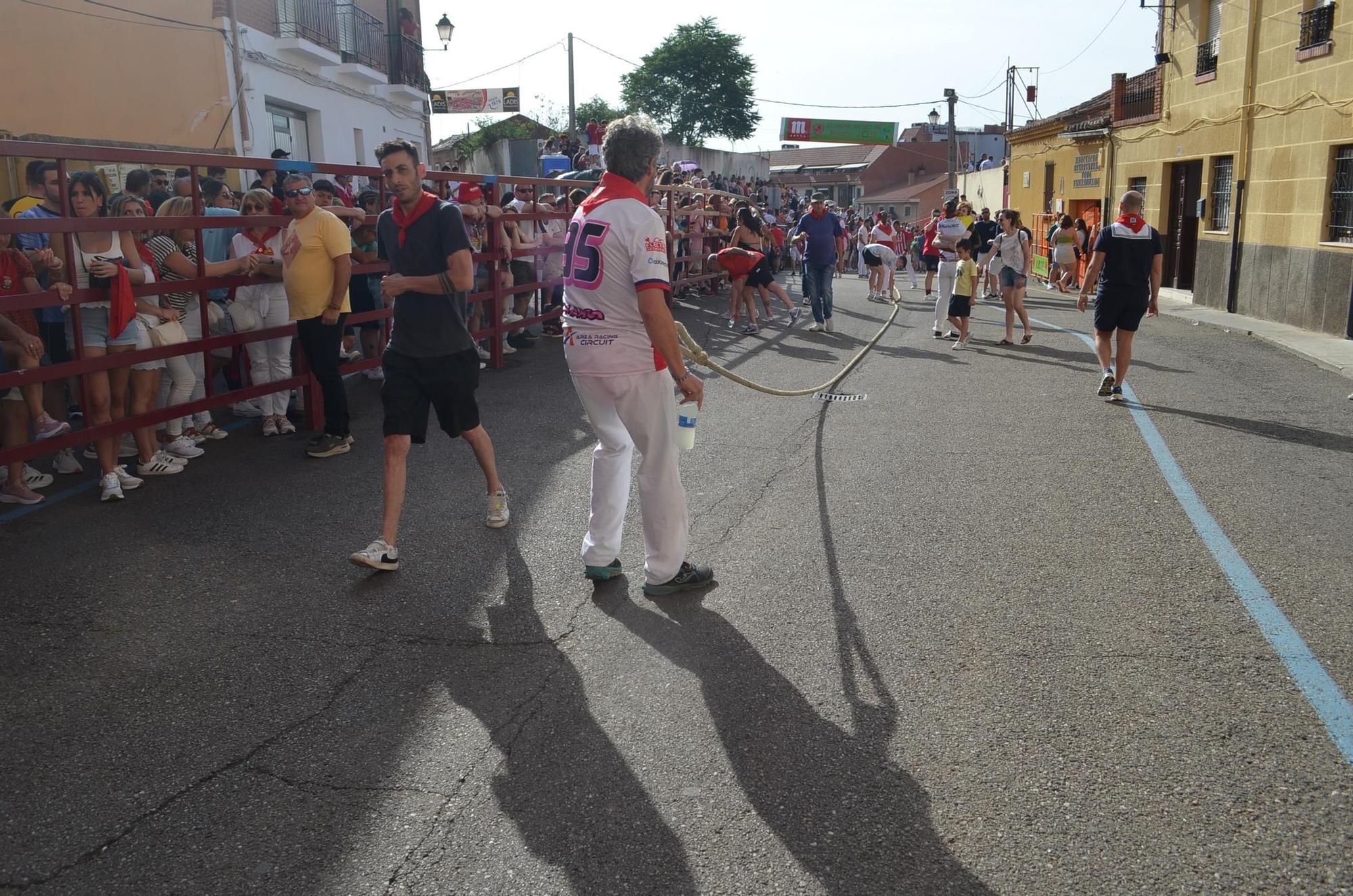 Así ha sido la carrera del torito Espléndido en Benavente