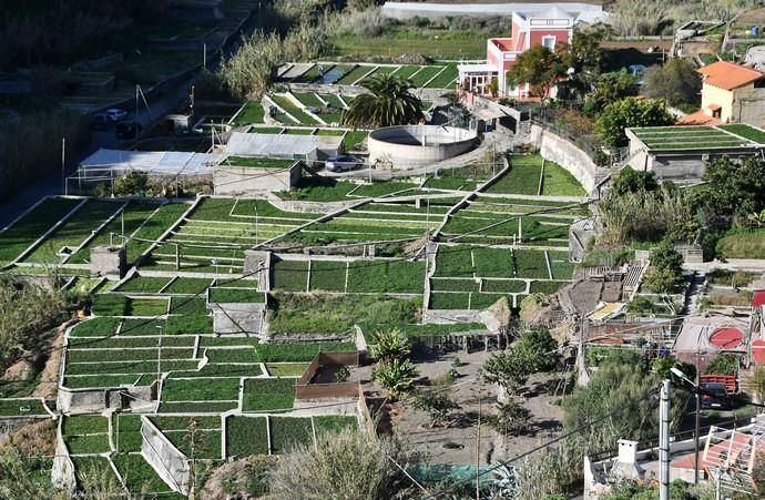 Caminos rurales a asfaltar en Telde