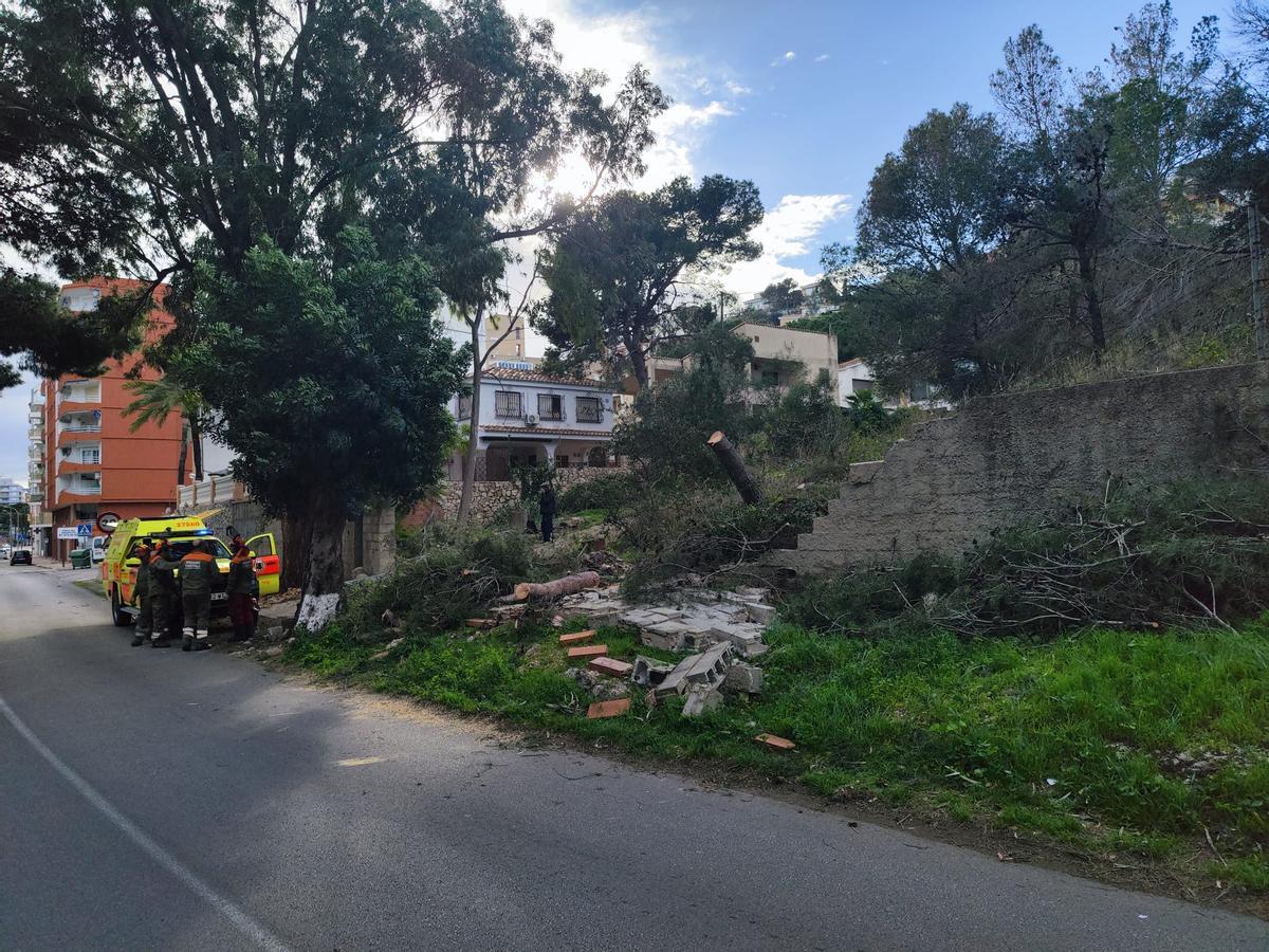 Las brigadas han retirado el tronco y el muro que se desplomaron sobre la carretera del Faro.