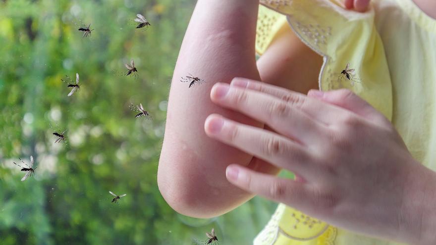 Vols acabar amb les molèsties per picada de mosquit?