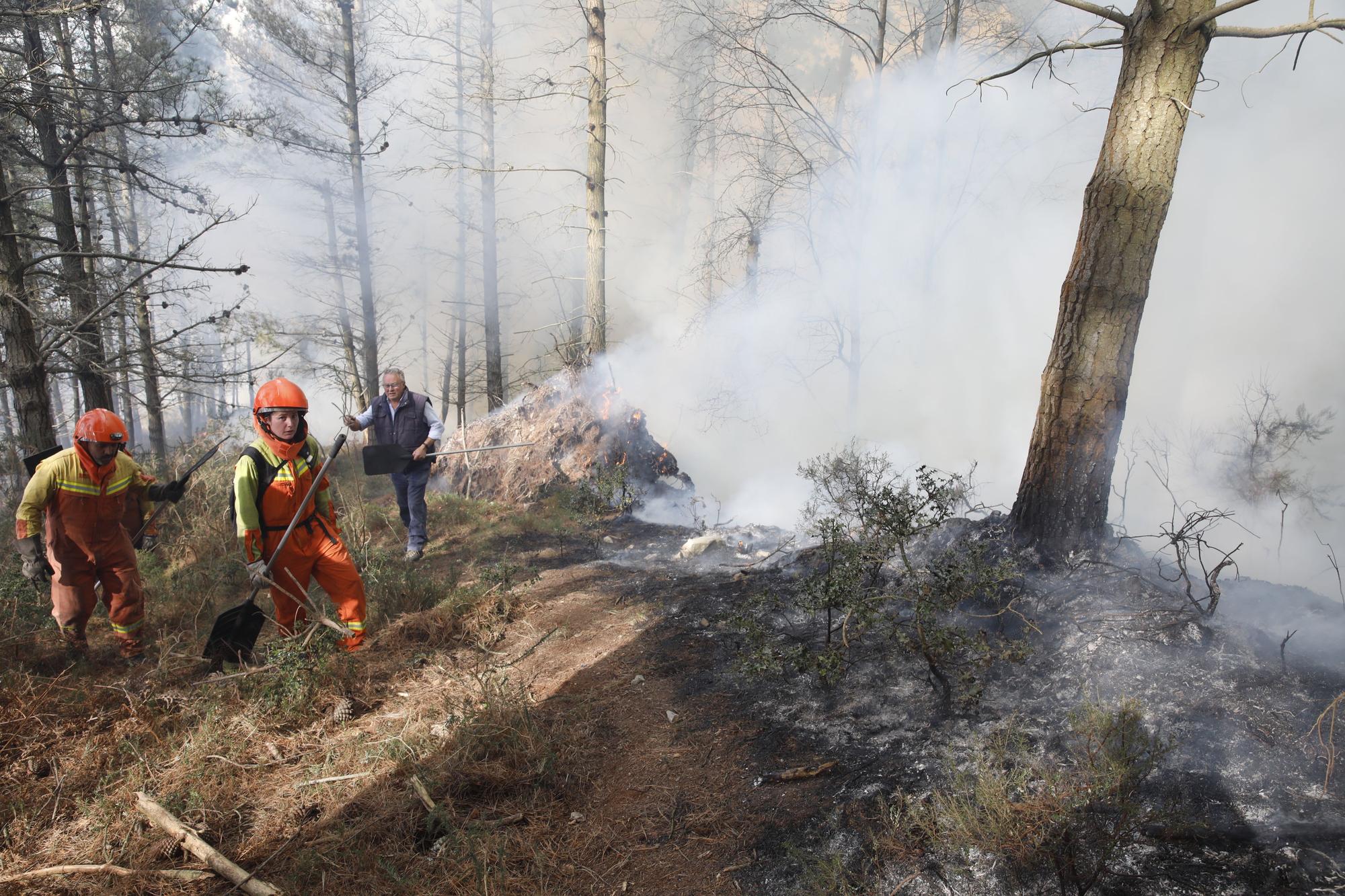 La lucha contra el fuego en el incendio entre Nava y Piloña