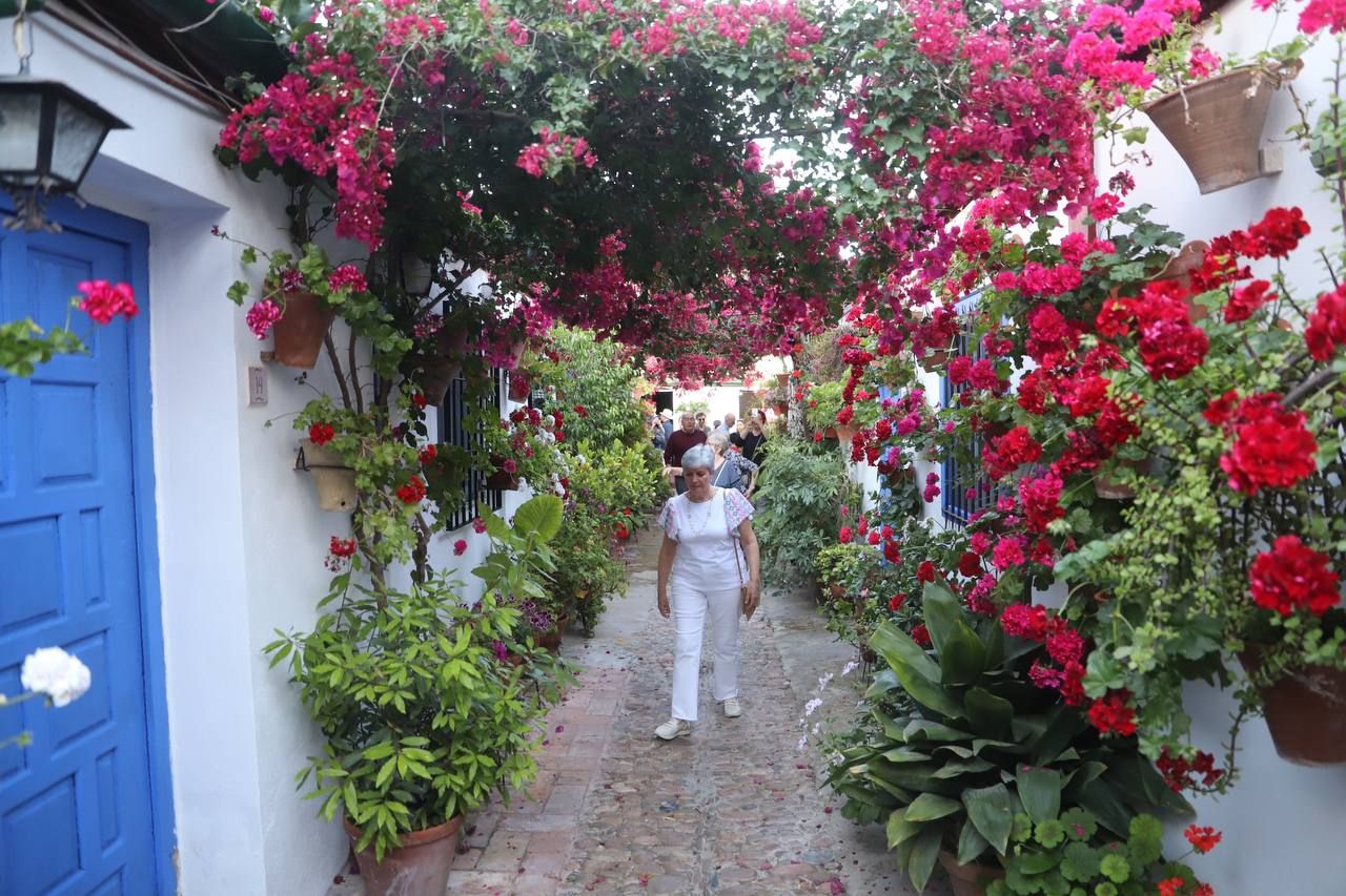 Los Patios galardonados