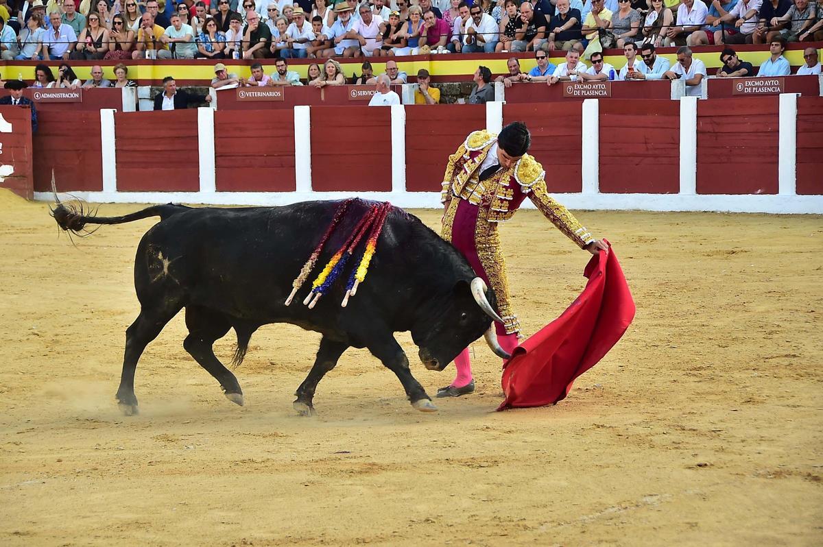 Fotogalería | Las imágenes de la corrida grande de la feria de Plasencia