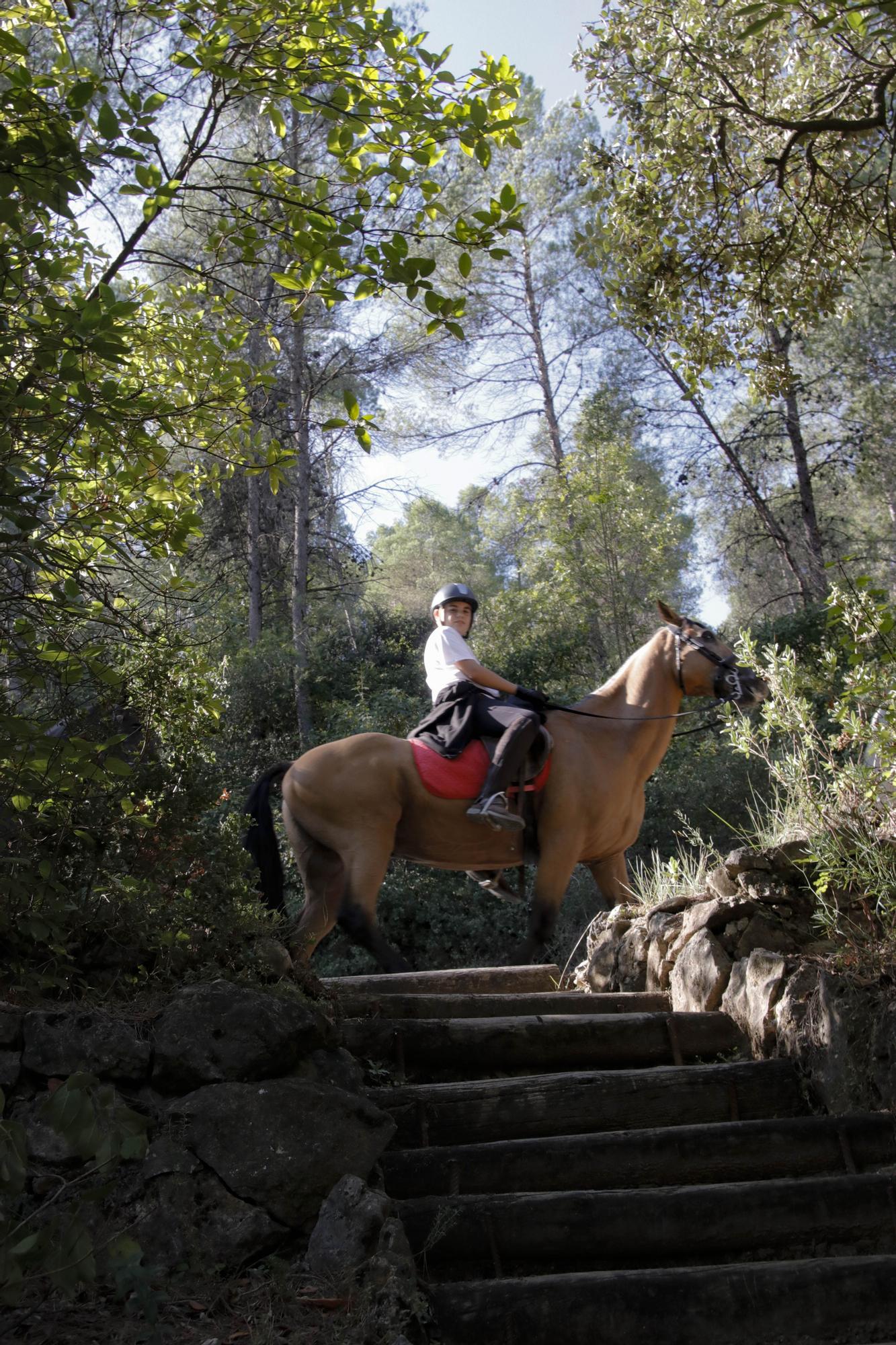 Alcoy vuelve a celebrar tres años después la romería de la Font Roja