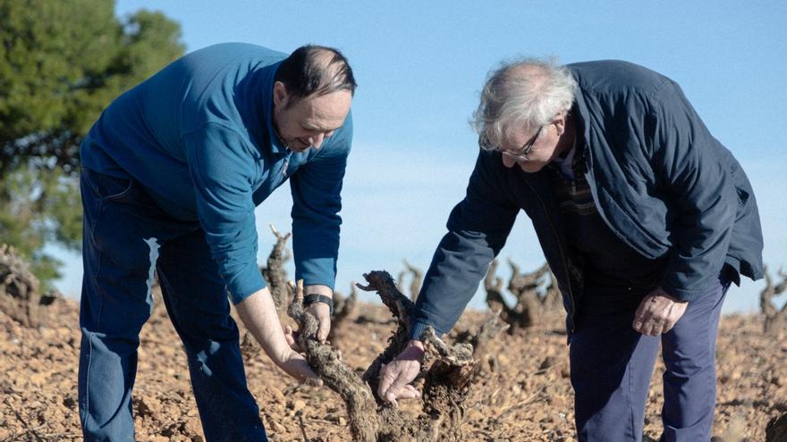 Anayón, la marca premium de la bodega Grandes Vinos