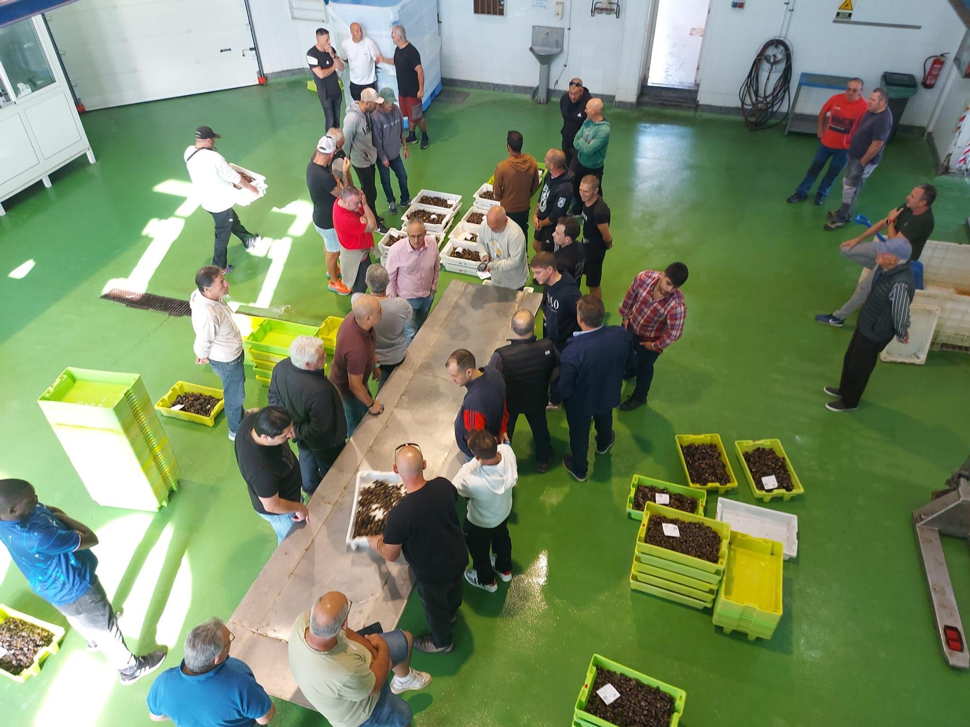 En imágenes: La primera subasta de percebe de la temporada en la rula de Puerto de Vega