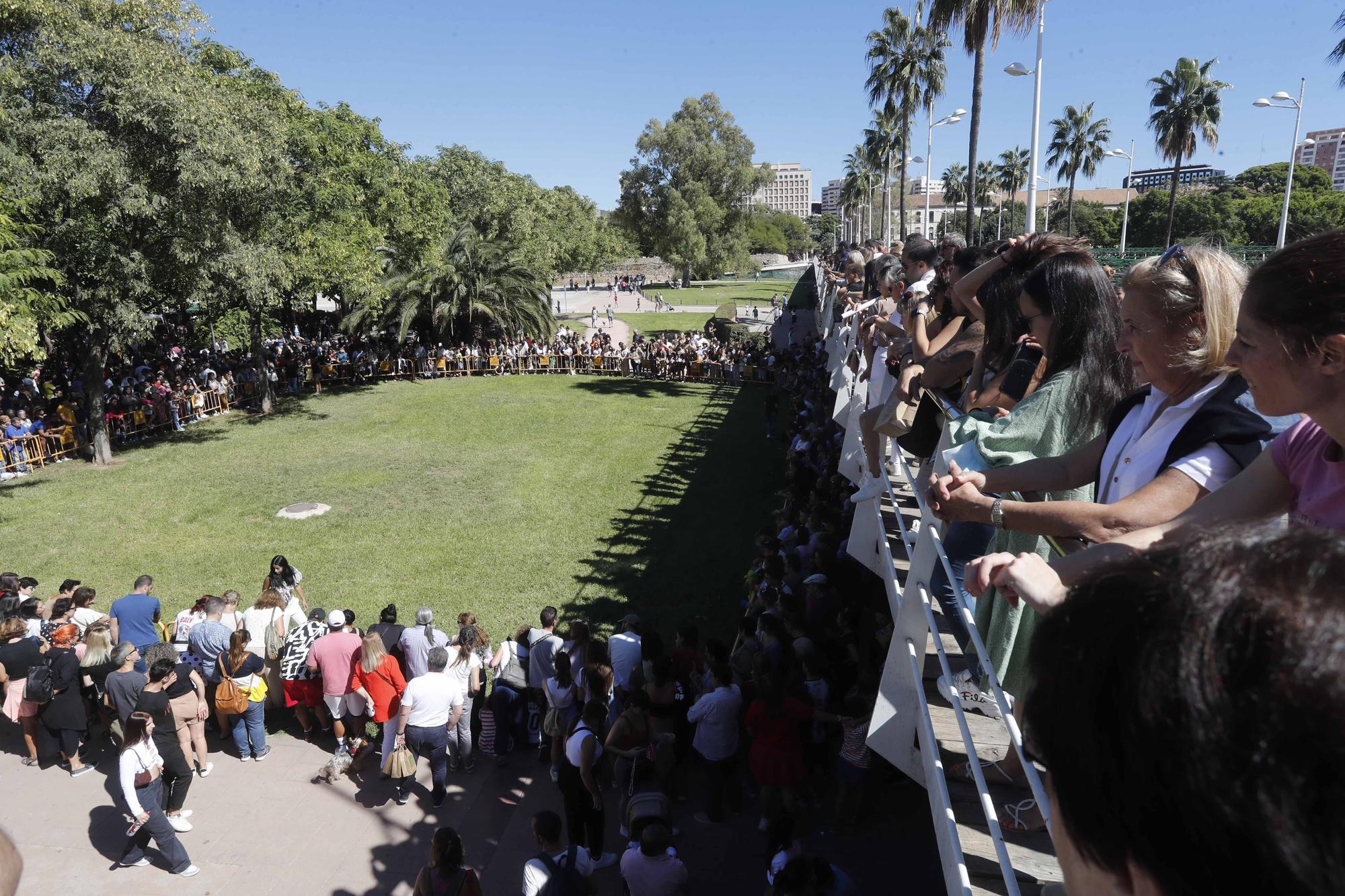 La Feria Animalista de València, en imágenes