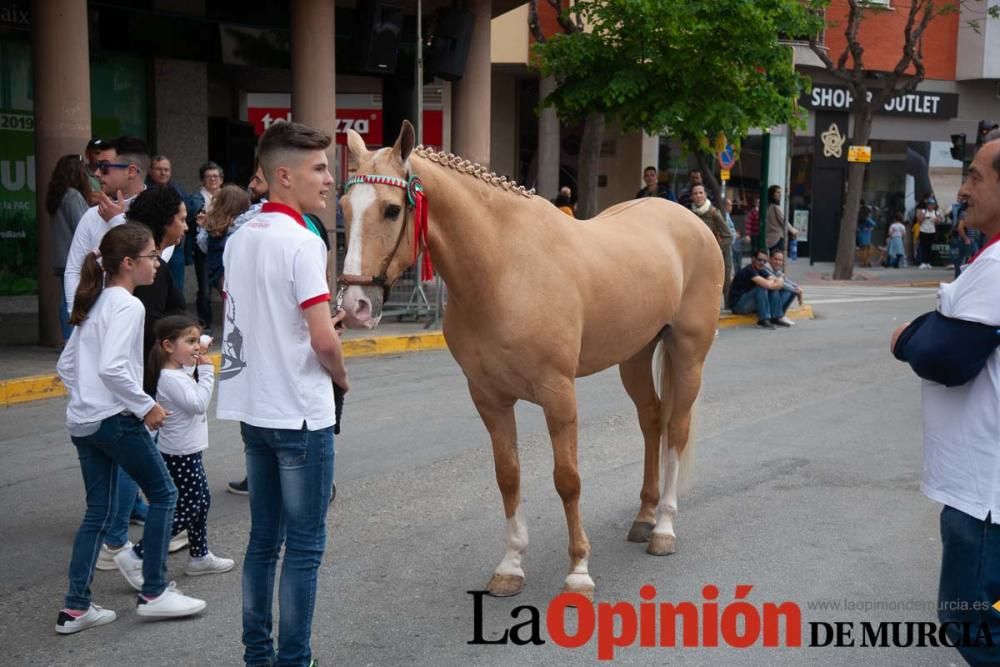 Caballos del Vino: Concurso morfológico (salida Pl