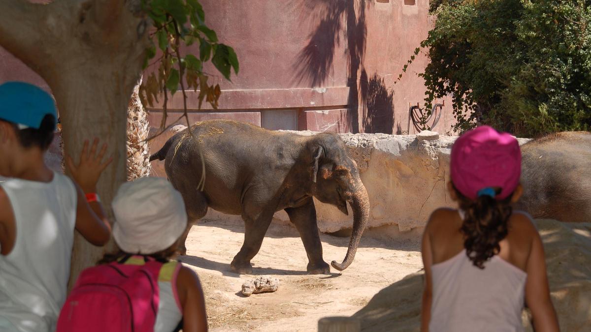 Terra Natura Benidorm cuenta con una amplia variedad de animales y actividades educativas.