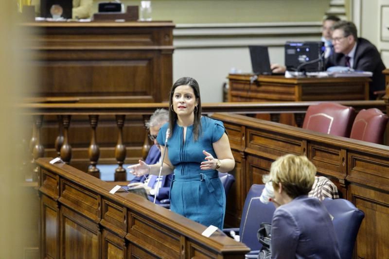 Pleno del Parlamento de Canarias  preside Gustavo Matos , presidente del gobierno , Victor Torres   | 19/05/2020 | Fotógrafo: Delia Padrón