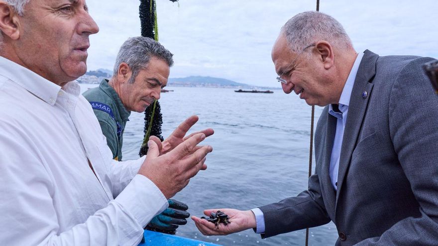 Bruselas hunde el presupuesto para la pesca a 2.000 millones, un 67% menos