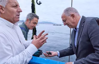 Bruselas hunde el presupuesto para la pesca a 2.000 millones, un 67% menos