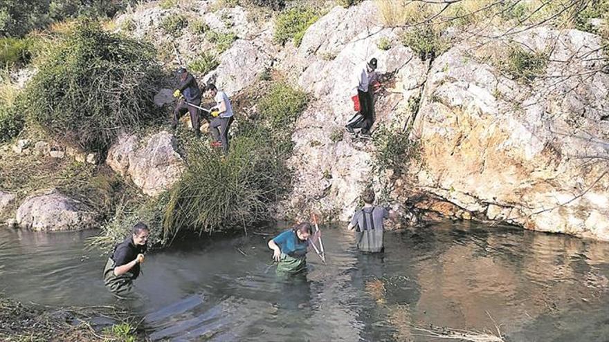 Treballs de manteniment als Estanys d’Almenara