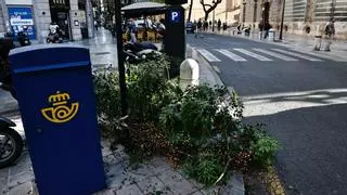 Cae otra rama de gran tamaño en el centro de València