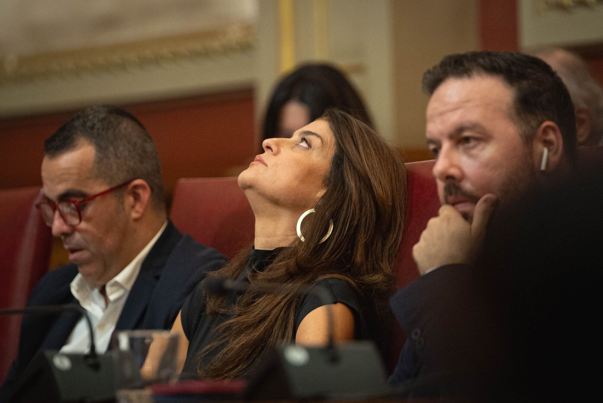 Pleno del Ayuntamiento de Santa Cruz