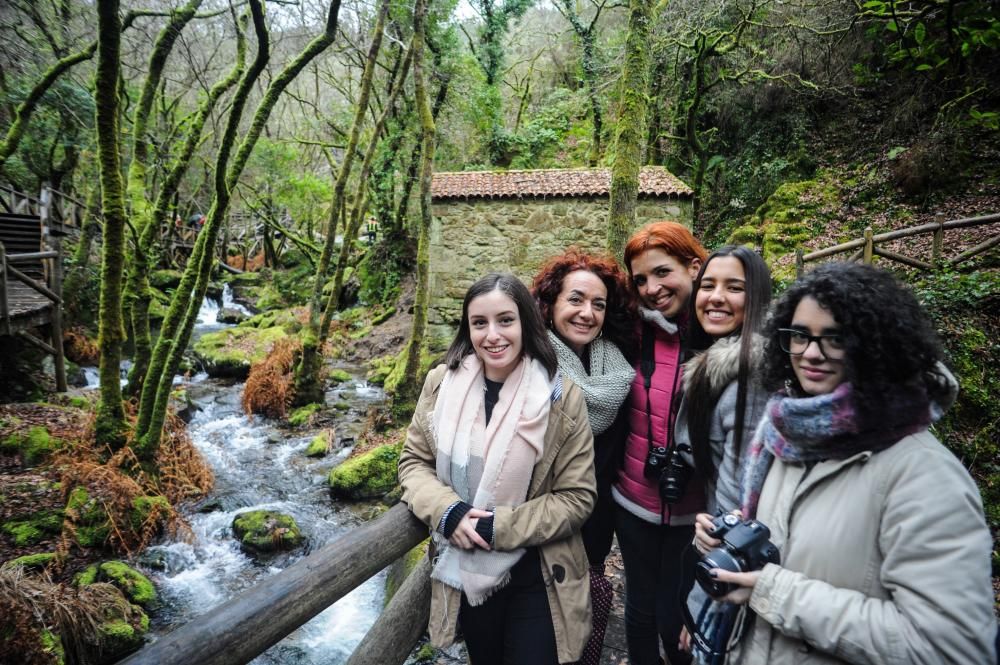 Las "Fervenzas" de Valga y el bosque que las rodea