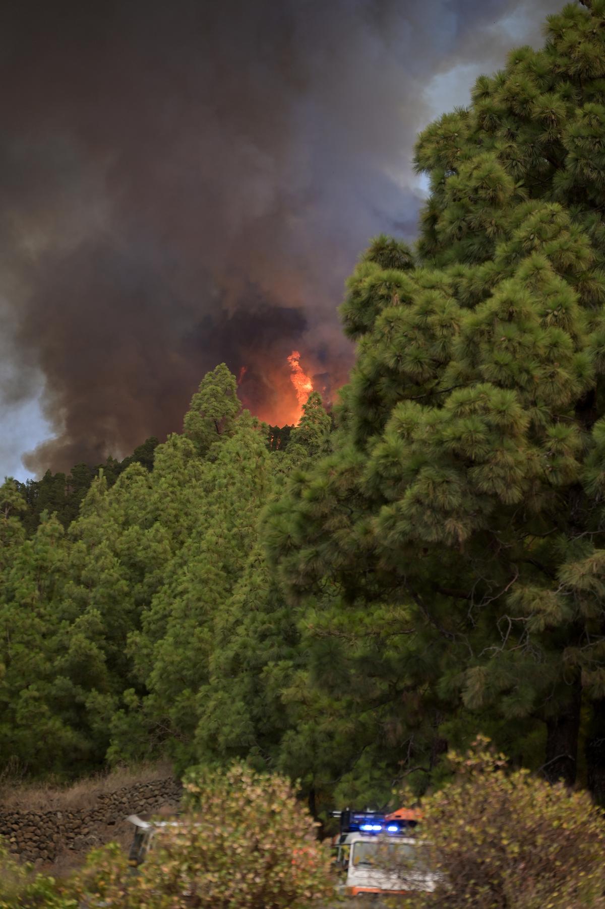 El incendio forestal de Tenerife, sin control