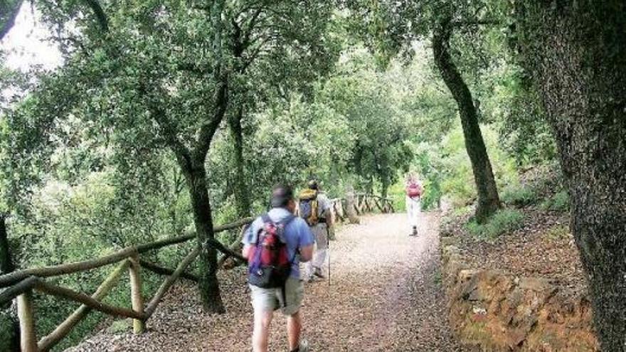 Descubre el Parque Natural de la Font Roja, un enclave único en Alicante