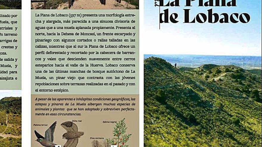 Tríptico sobre la ruta senderista de La Plana de Lobaco. | SERVICIO ESPECIAL