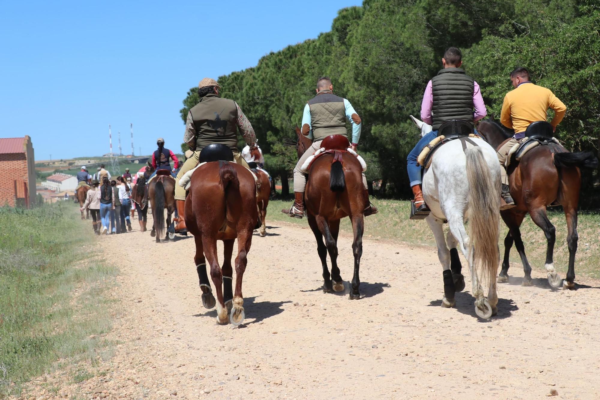 GALERÍA | Coreses se va de "Ruta flamenca"