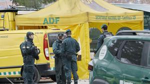 Catalunya declara l’emergència per la pesta porcina africana