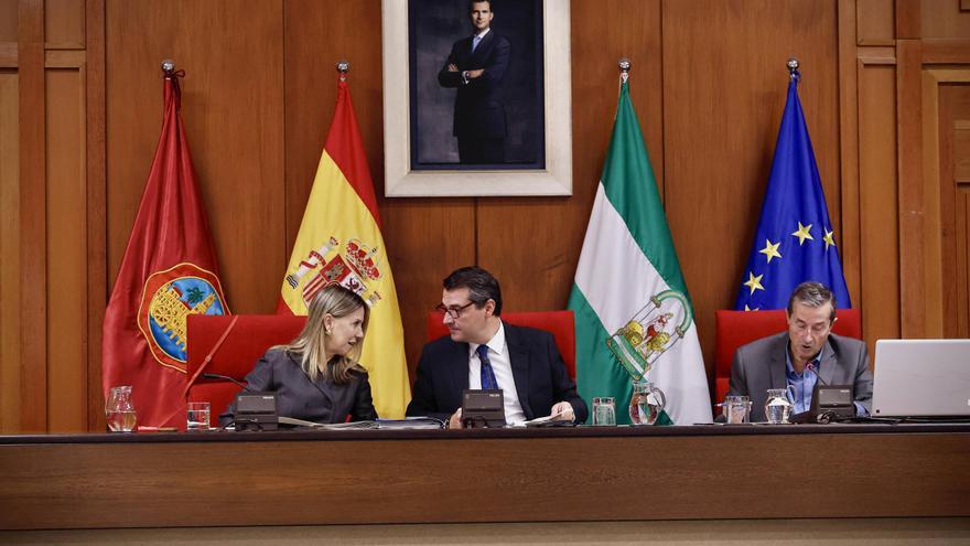 El Pleno de Córdoba acuerda subir un 0,5% el sueldo de los concejales, personal eventual y órganos directivos