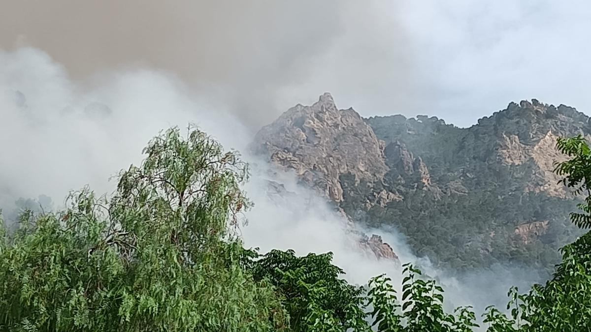 Las imágenes del grave incendio forestal en Los Garres (Murcia)
