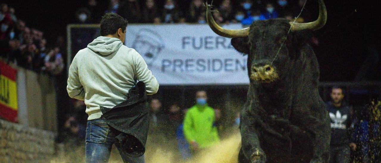 Un 'rodaor' hace un quiebro a 'Florito' el pasado sábado en la Todolella.