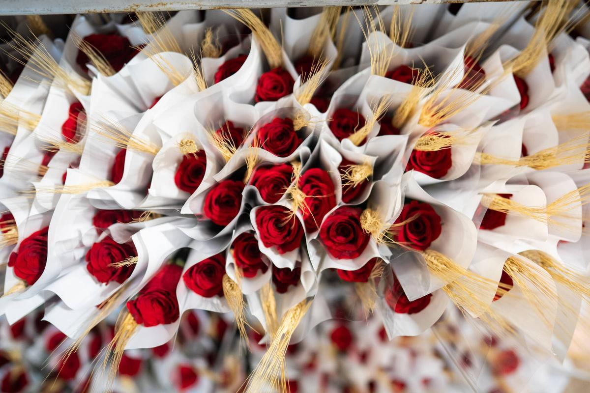 Rosas preparadas para venderse en Sant Jordi, en el mercado de la flor de Mercabarna