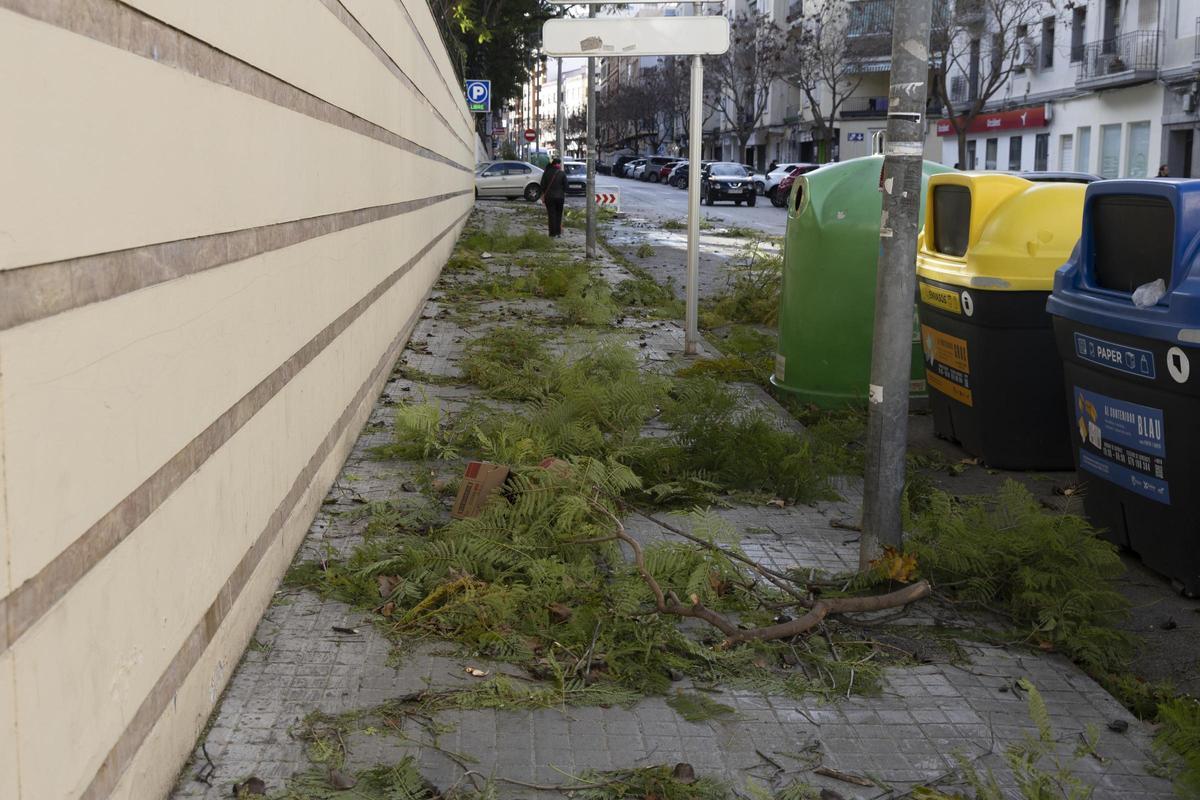 El temporal asociado a la borrasca Kristin ha dejado imágenes de impacto en Xàtiva, las rachas de viento han alcanzado niveles huracanados