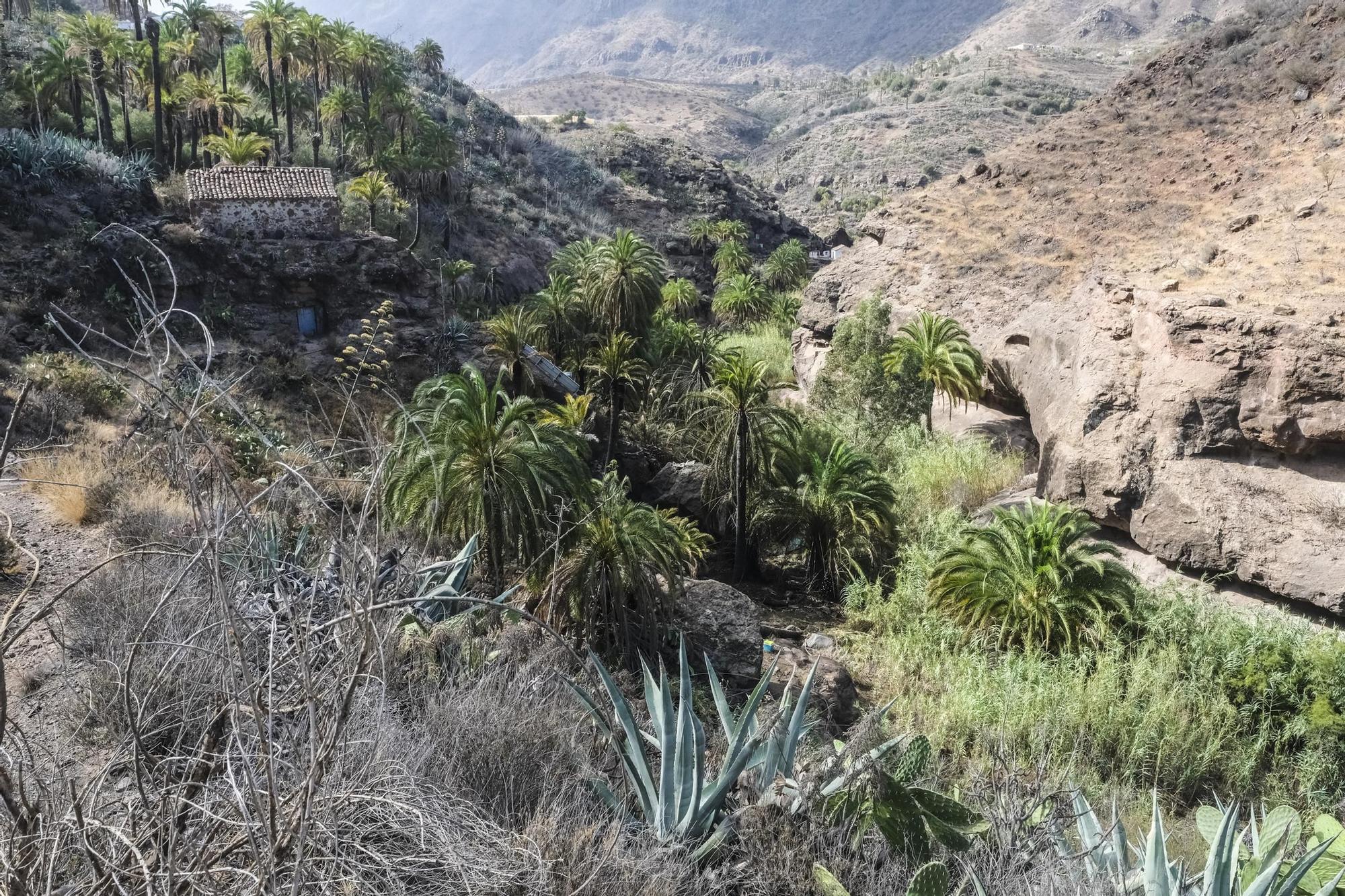 Incendio en Santa Lucía