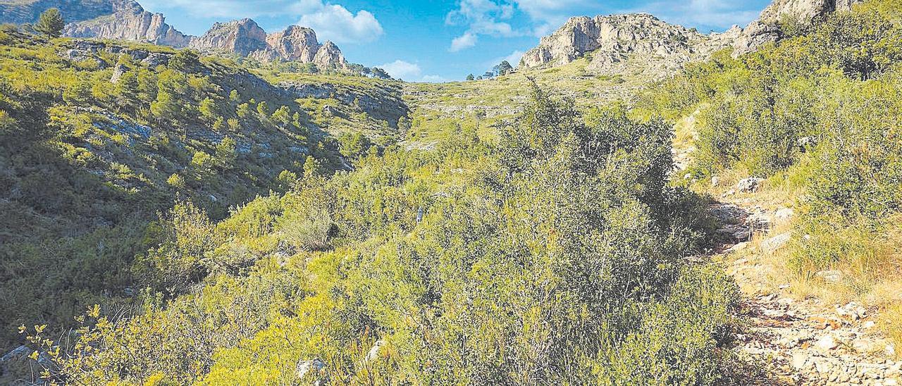 El entorno del barranco del garrofer de Gandia