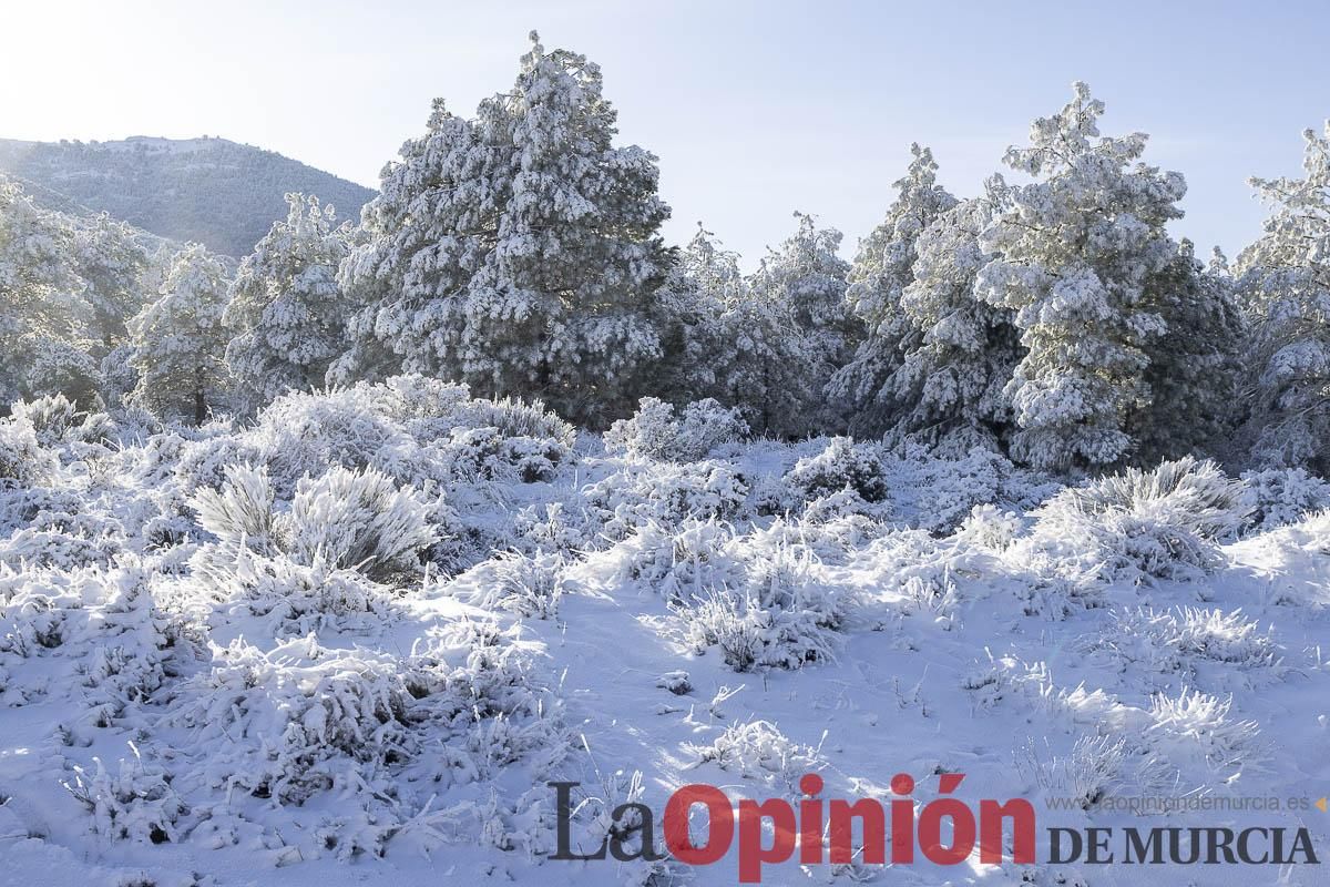 Descubre dónde queda acumulación de nieve en la Región de Murcia