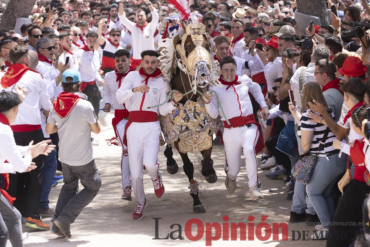 Así se ha vivido la carrera de Los Caballos del Vino en Caravaca
