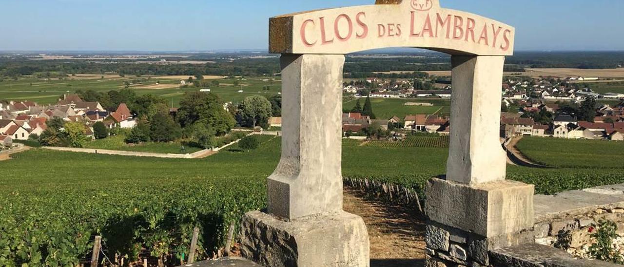 Paisaje desde Clos des Lambrays, en Morey St. Denis.