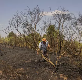Estabilizado el mayor incendio de Galicia, el de Vilardevós: «El miedo aún está en el cuerpo»