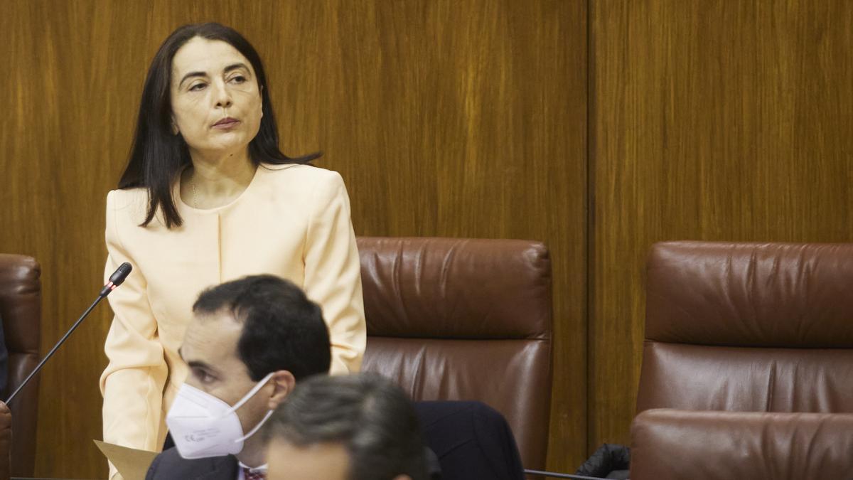 La nueva diputada del grupo parlamentario Ciudadanos, María Isabel Martos, toma posesión.