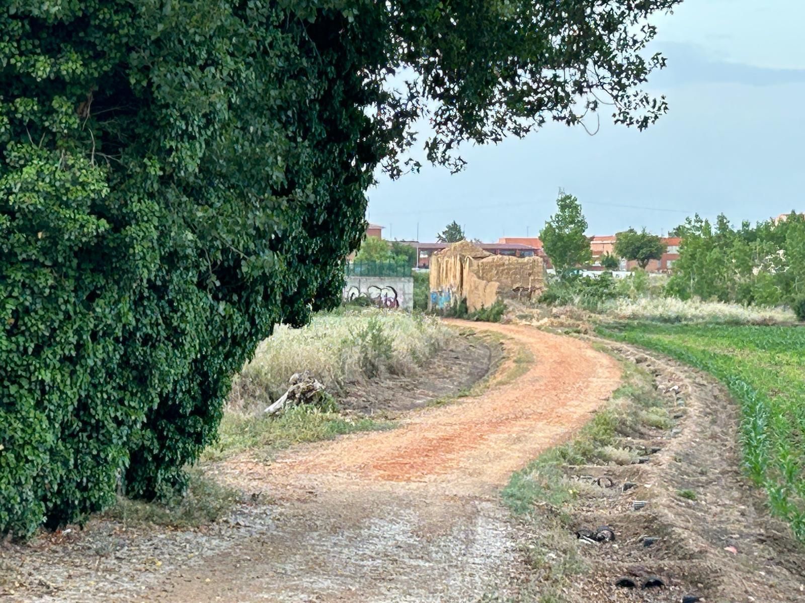 GALERÍA | Labores de desbroce en espacios públicos