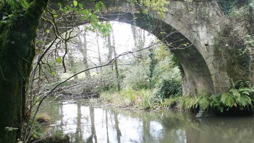 La captación se realizará en el río Umia.