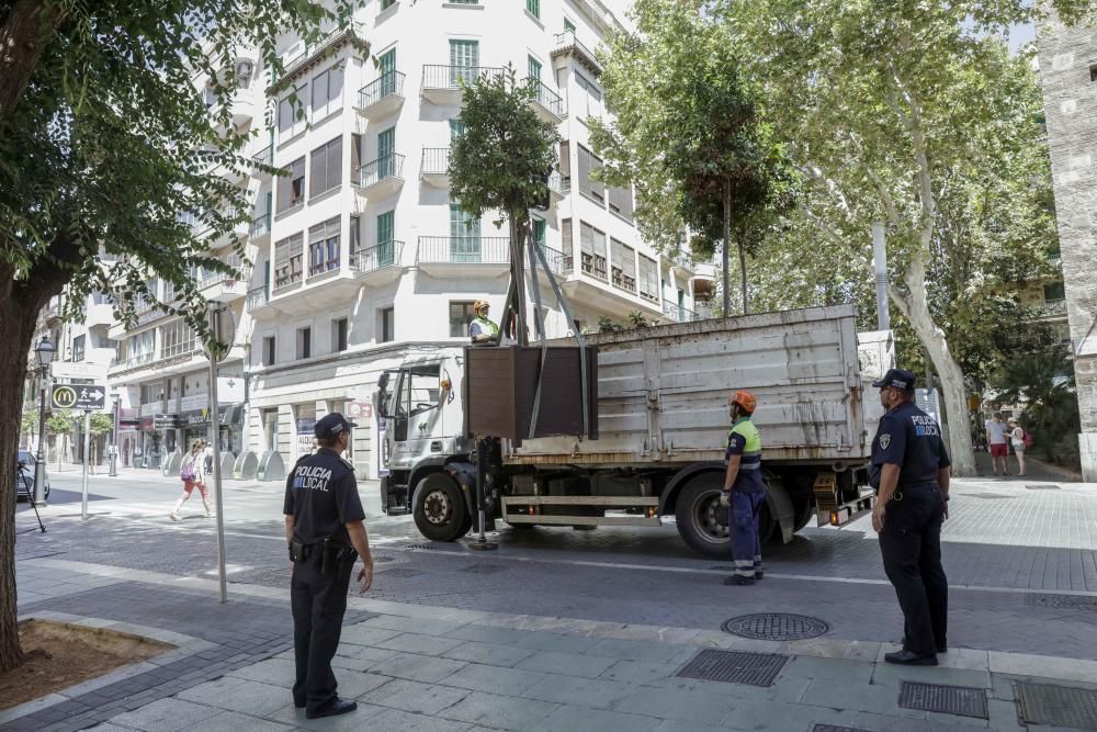 Nach dem Anschlag in Barcelona sind am Montag (21.8.) weitere Lkw-Barrieren in Form von Blumenkübeln aufgestellt worden, diesmal im Carrer Oms - die Fußgängerzone verbindet Plaça d'Espanya mit der Blumen-Rambla.