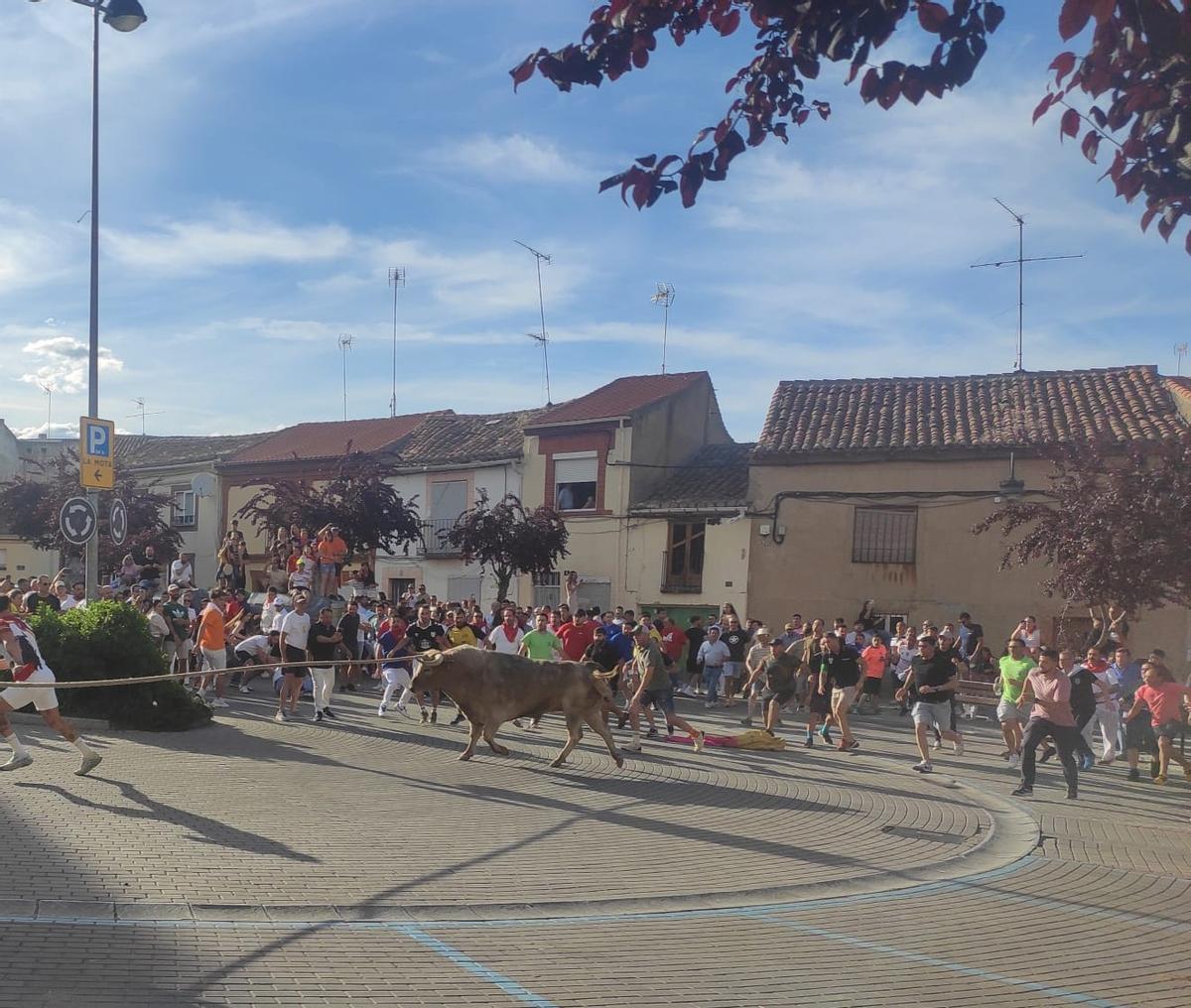 Cardilisto, el Torito del Alba, a su paso por San Martín.