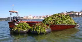 Los parquistas de Carril reivindican su intensa labor