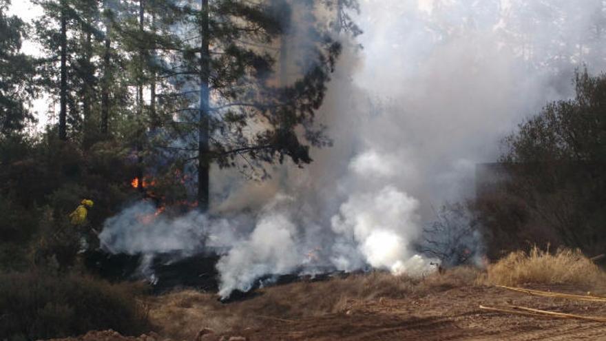 Dos conatos de incendio alertan a los helicópteros y efectivos en Tunte y Teror