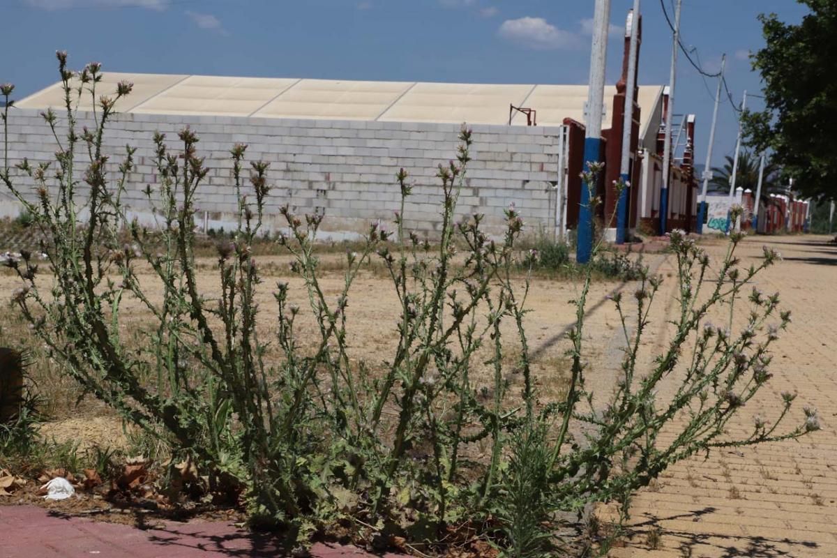 El Arenal, desolado y sin Feria por coronavirus