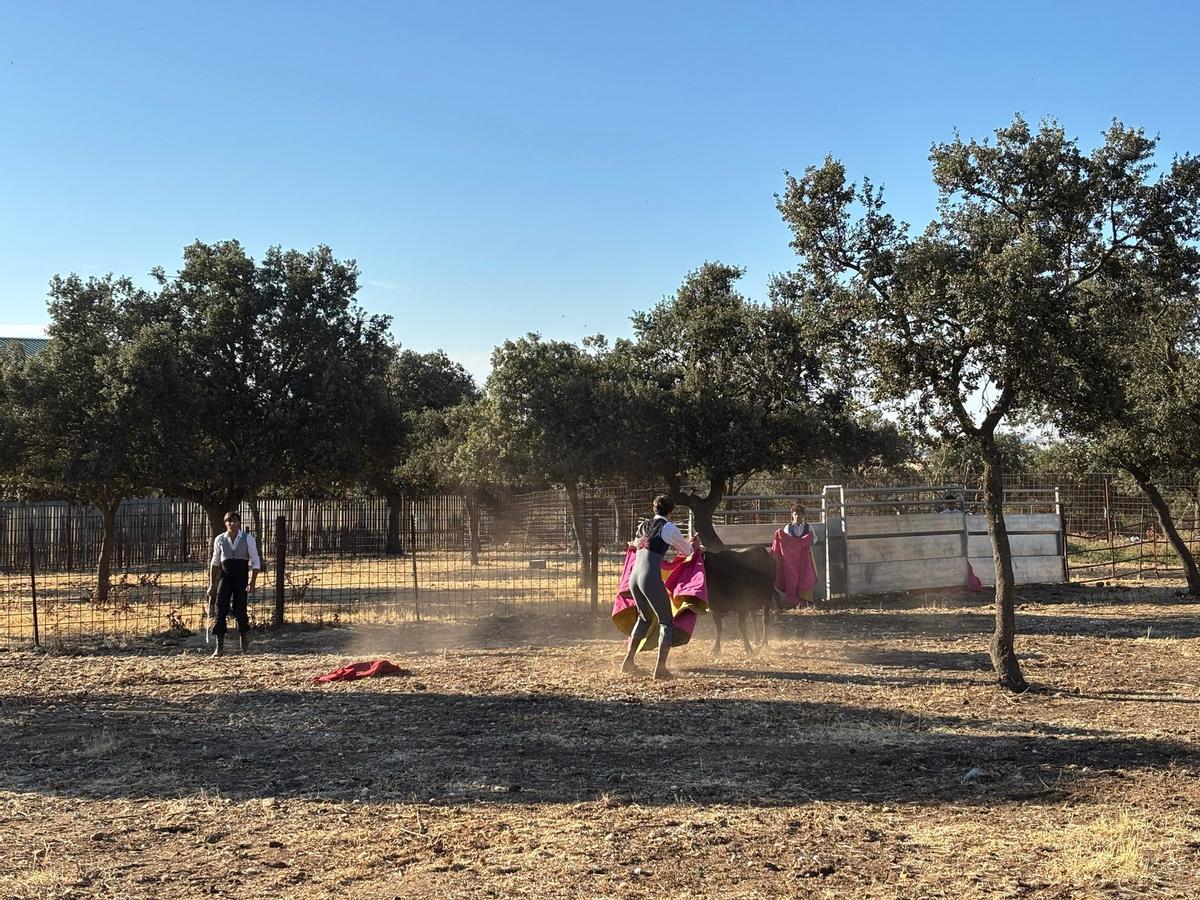 GALERÍA | Alumnos de la Escuela Taurina de Navas del Rey participan en una retienta en la ganadería Toros Villalpando