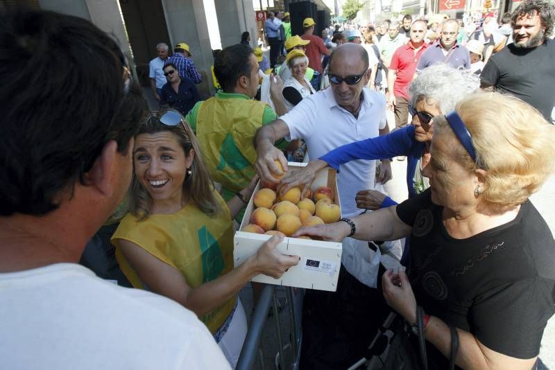 El sector reparte 4.000 kilos de fruta en la Plaza del Pilar