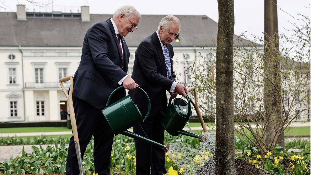 El rey Carlos III (L) de Gran Bretaña y el presidente alemán Frank-Walter Steinmeier riegan un árbol en el jardín del palacio presidencial Bellevue en Berlín.