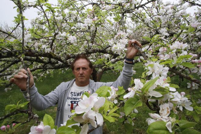 EN IMÁGENES: La Comarca de la Sidra, el Jerte astur