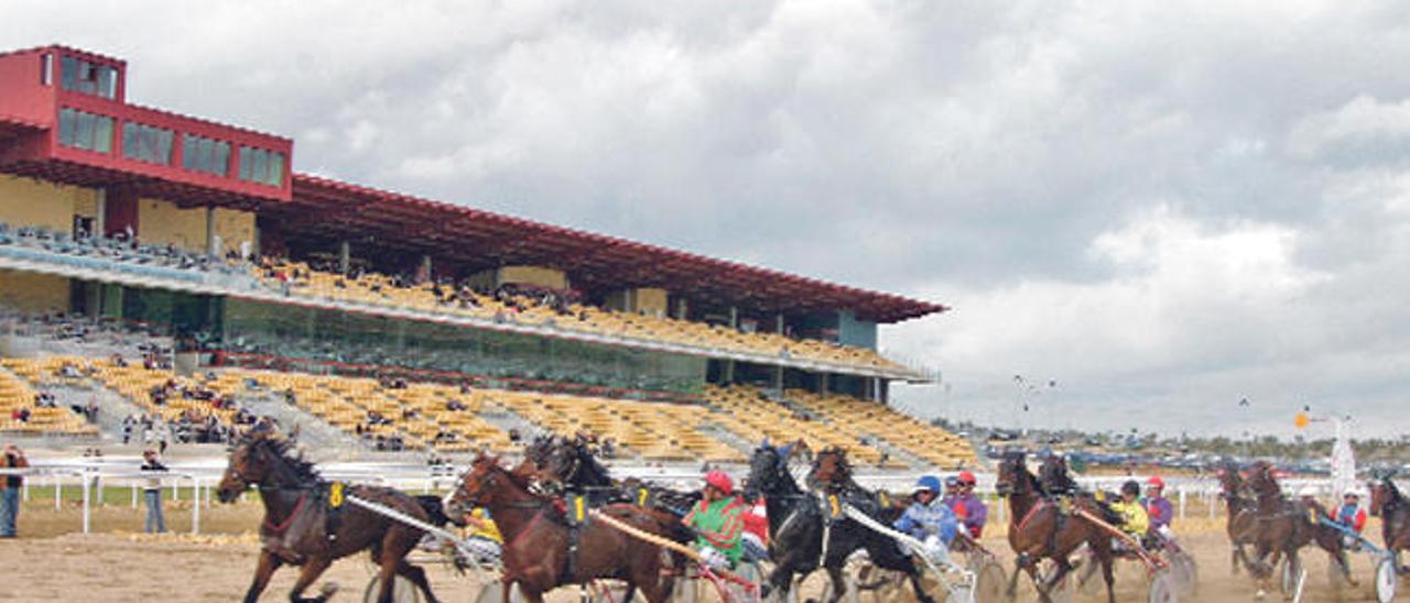 Imagen de la grandiosa tribuna del hipódromo de Dos Hermanas durante la disputa de una carrera de caballos al trote enganchado.