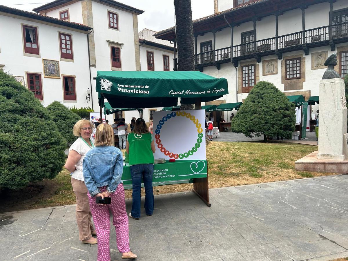 EN IMÁGENES: Feria de asociaciones de Villaviciosa